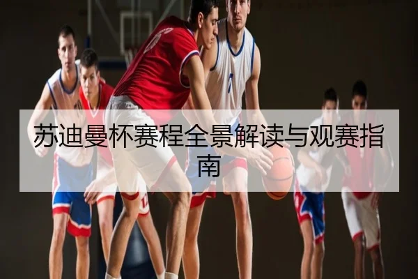 苏迪曼杯赛程全景解读与观赛指南