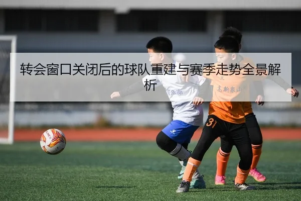 转会窗口关闭后的球队重建与赛季走势全景解析