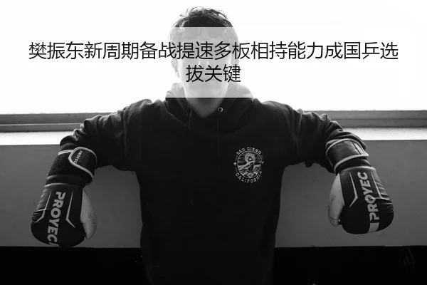 樊振东新周期备战提速多板相持能力成国乒选拔关键