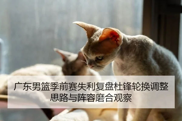 广东男篮季前赛失利复盘杜锋轮换调整思路与阵容磨合观察